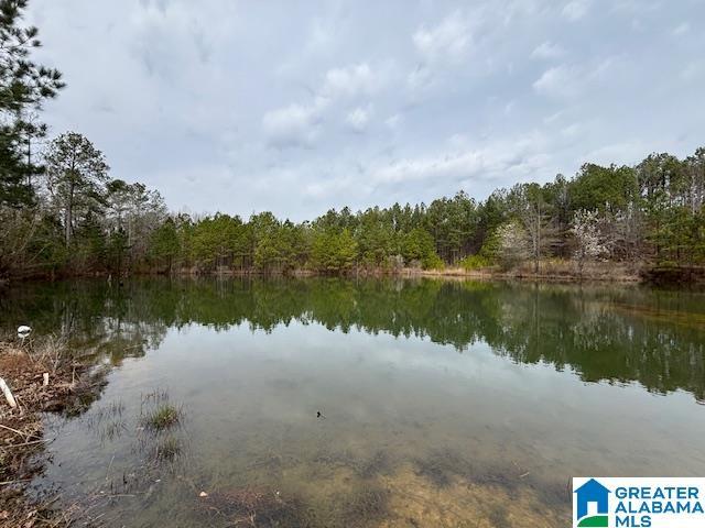 10994 Hwy 61 Unit 0, Wilsonville AL, 35186 land for sale