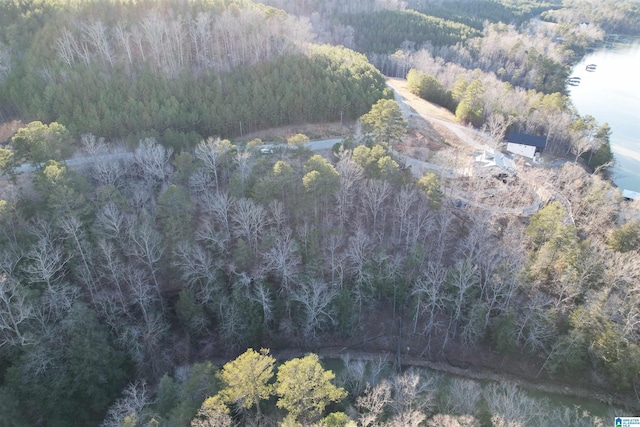 Listing photo 3 for 1005 Sipsey Overlook Dr Lot 100, Double Springs AL 35553