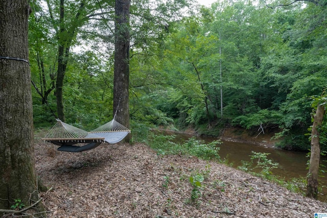 view of yard featuring a wooded view