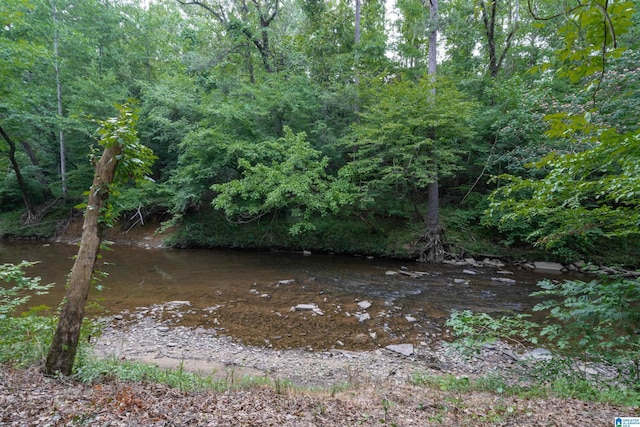 view of local wilderness featuring a wooded view