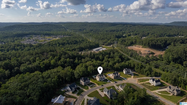 aerial view with a view of trees