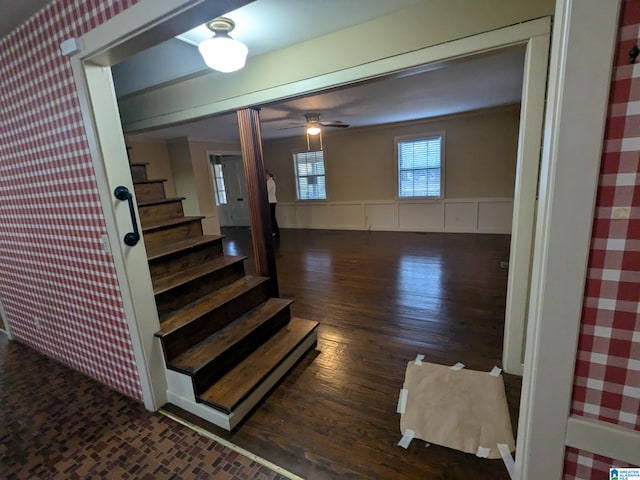 staircase with wallpapered walls, a ceiling fan, a wainscoted wall, wood finished floors, and a decorative wall