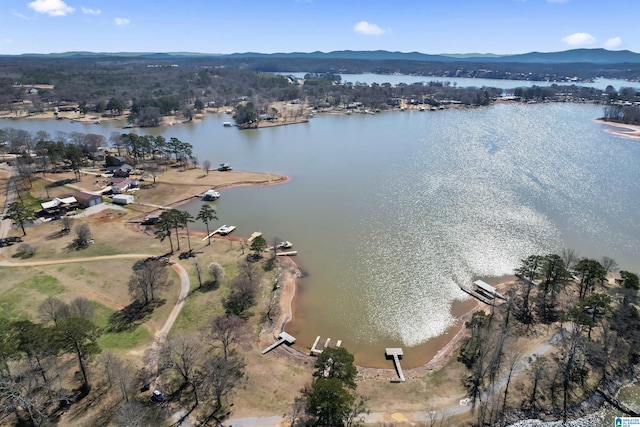 birds eye view of property with a water and mountain view