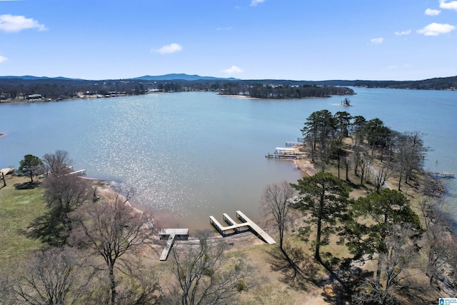 water view featuring a mountain view