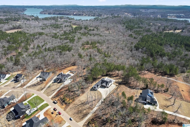 drone / aerial view with a water view and a view of trees