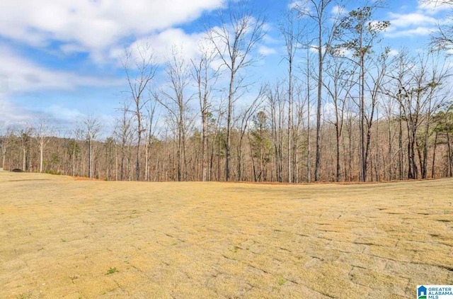 view of local wilderness with a wooded view