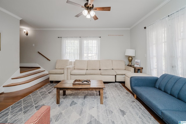 living room with stairs, crown molding, a ceiling fan, and wood finished floors