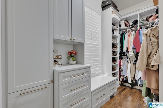 walk in closet featuring wood finished floors