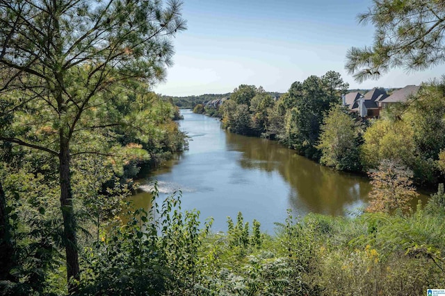 property view of water with a forest view