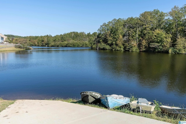 water view with a wooded view