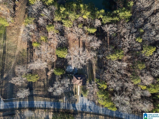 birds eye view of property with a forest view