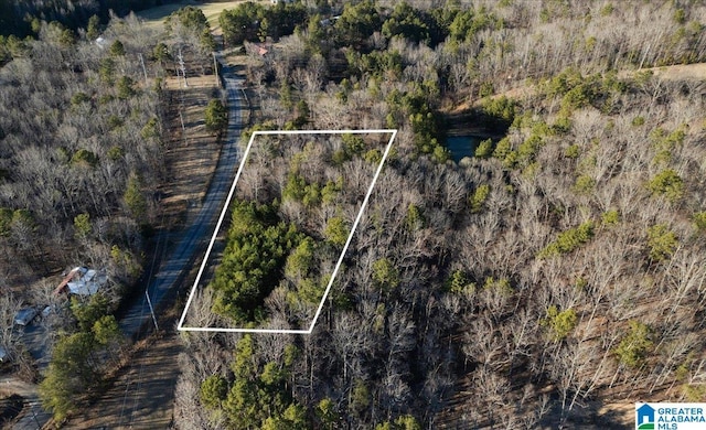 drone / aerial view with a water view and a view of trees