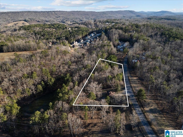 bird's eye view featuring a mountain view and a wooded view