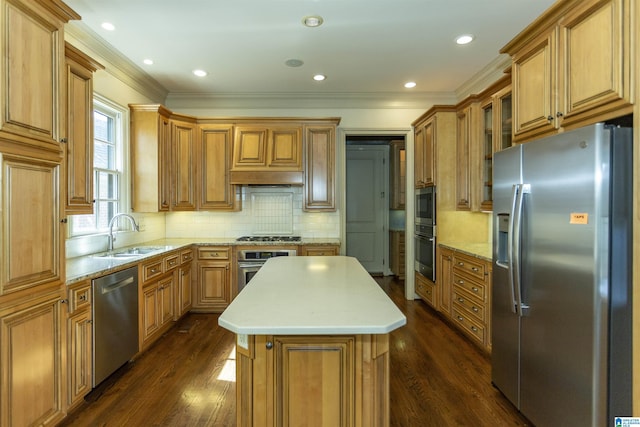 kitchen featuring a kitchen island, appliances with stainless steel finishes, dark wood-style flooring, and a sink