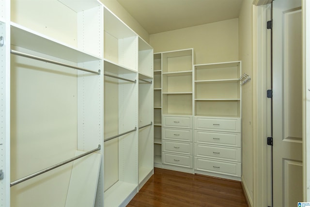 walk in closet featuring dark wood-style flooring