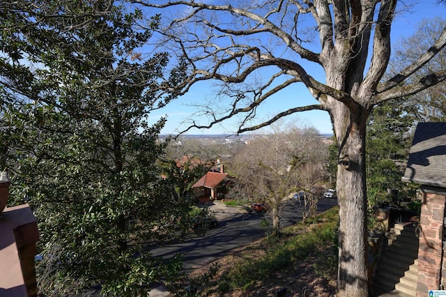 view of surrounding community