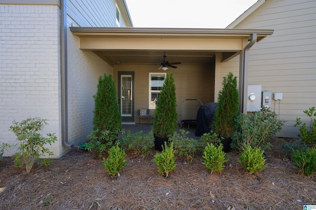 property entrance with ceiling fan