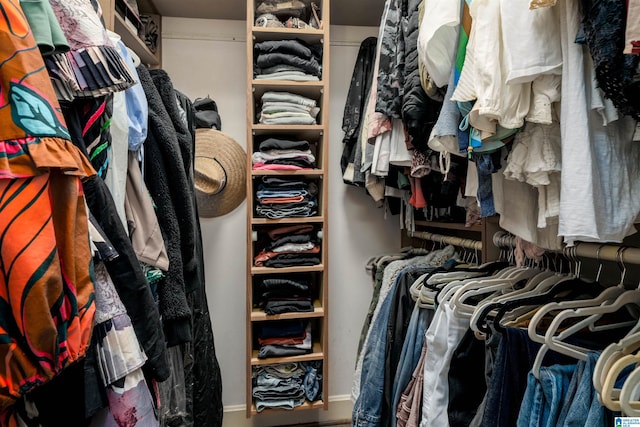 view of walk in closet