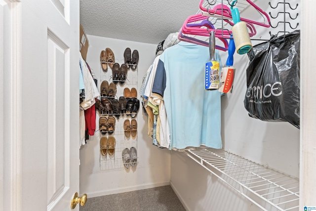 walk in closet with carpet