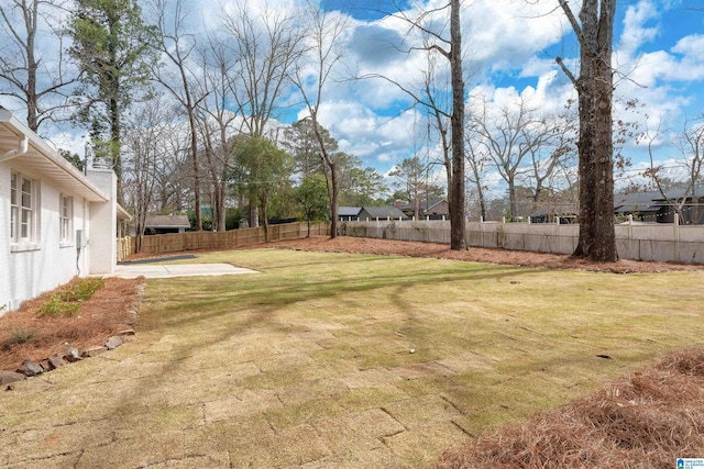 view of yard with a patio and a fenced backyard