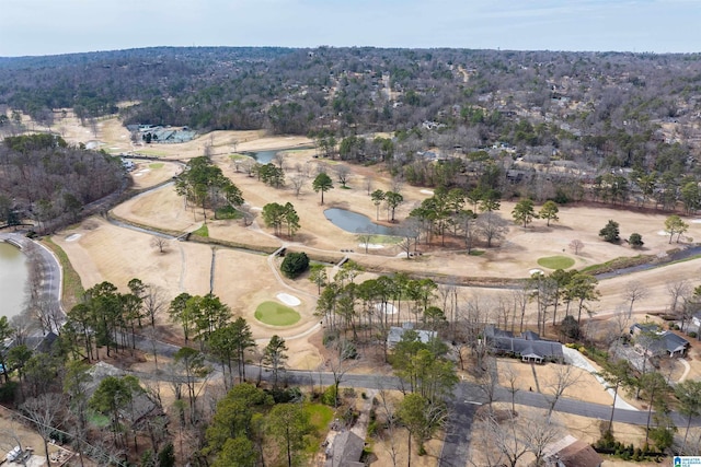 bird's eye view featuring a water view and a wooded view