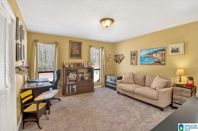 carpeted home office featuring a textured ceiling and baseboards