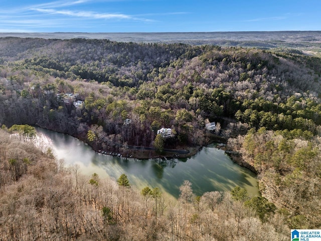 drone / aerial view featuring a water view and a view of trees