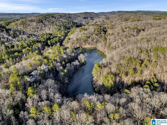 aerial view with a forest view and a water and mountain view