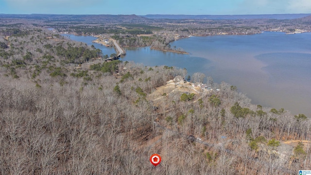 drone / aerial view with a water view and a wooded view