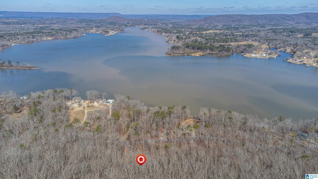 birds eye view of property with a water and mountain view