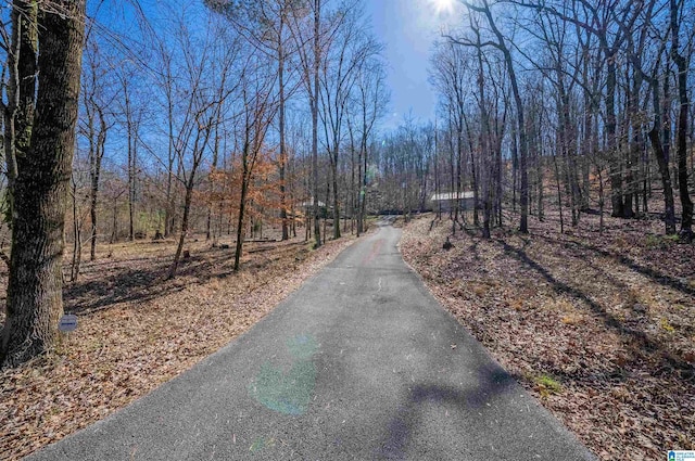 view of street with a wooded view