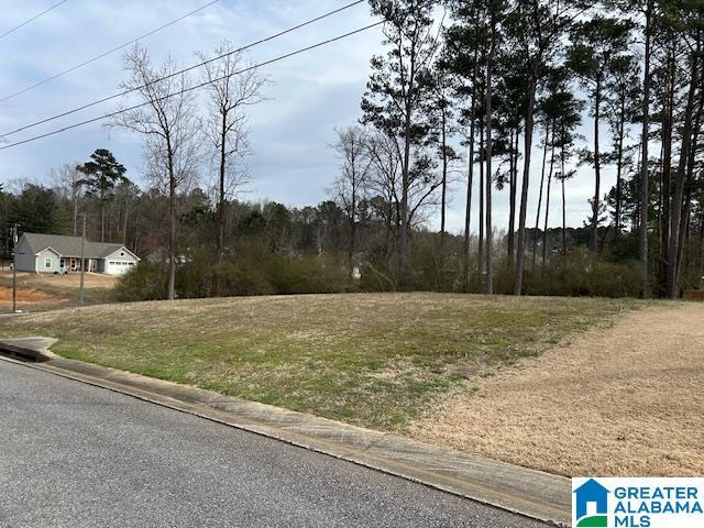 6488 William Dr Unit 004, Bessemer AL, 35023 land for sale