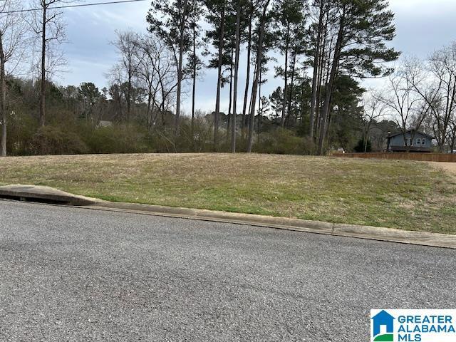 Listing photo 2 for 6488 William Dr Unit 004, Bessemer AL 35023