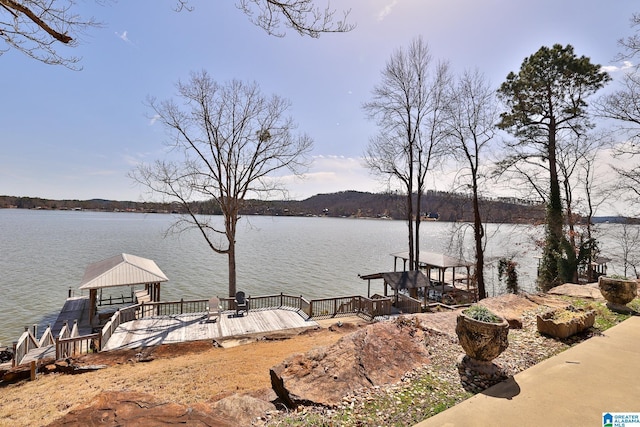 dock area with a water view