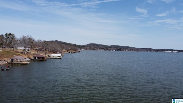 water view with a boat dock