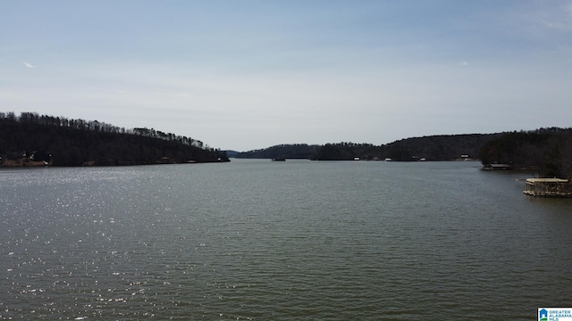 property view of water featuring a wooded view