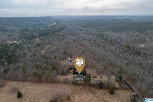 drone / aerial view with a forest view