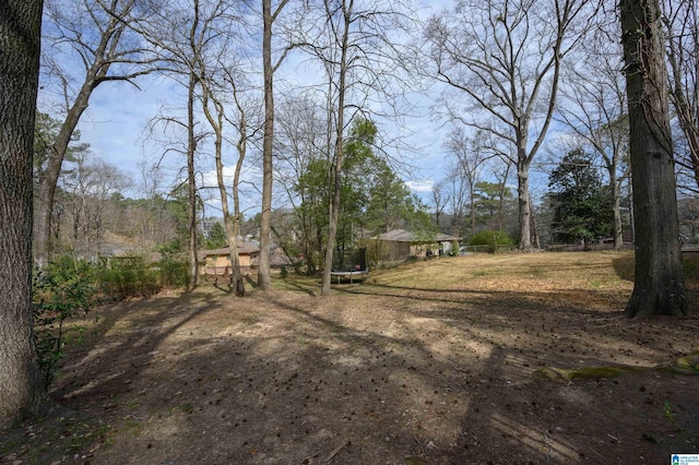 view of yard featuring a trampoline