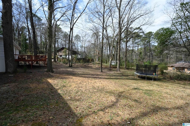 view of yard featuring a deck and a trampoline