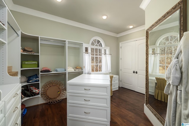 walk in closet with dark wood-type flooring