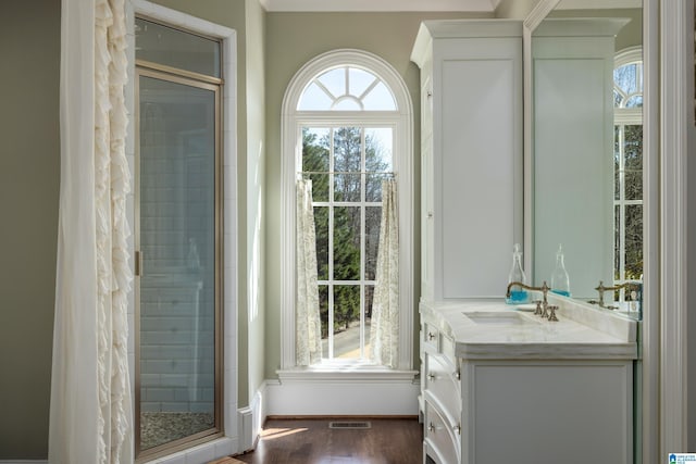 full bath with vanity, a shower stall, visible vents, and a wealth of natural light