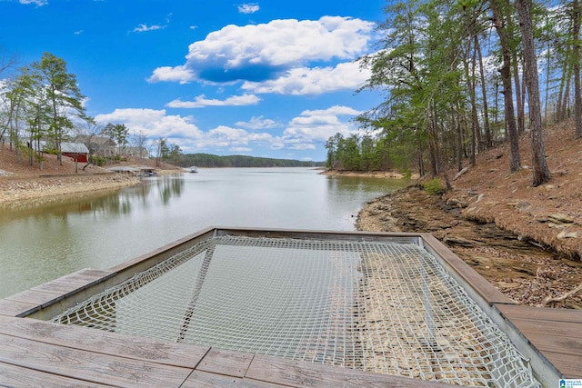 dock area with a water view