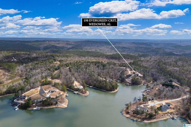 aerial view featuring a wooded view and a water view