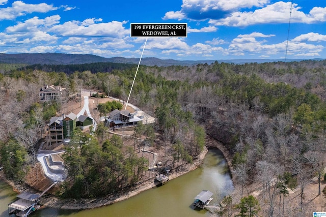 drone / aerial view featuring a water view and a wooded view