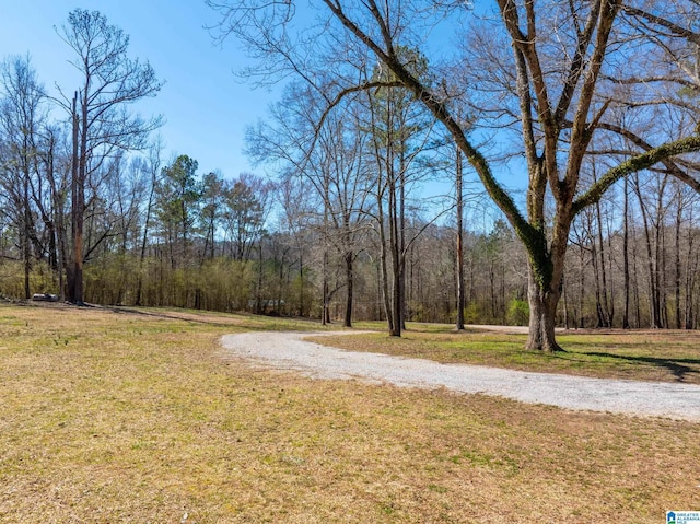 view of road featuring a wooded view