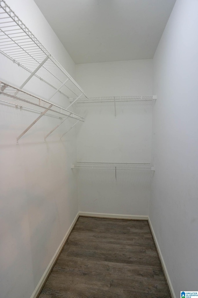 walk in closet with wood finished floors