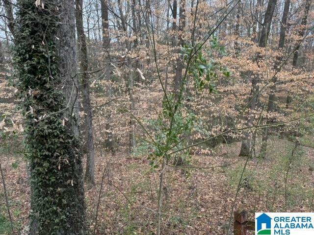 view of local wilderness featuring a wooded view