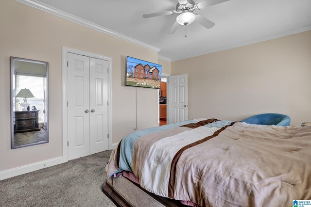 bedroom featuring carpet, baseboards, ceiling fan, a closet, and crown molding