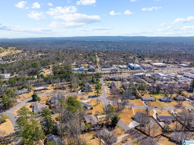 aerial view