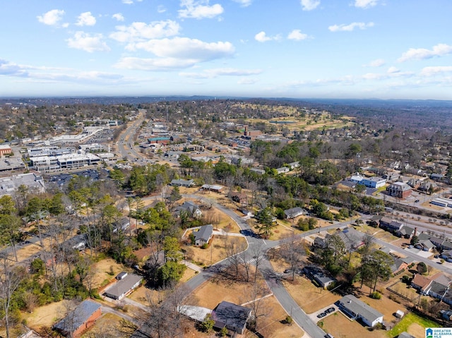 bird's eye view